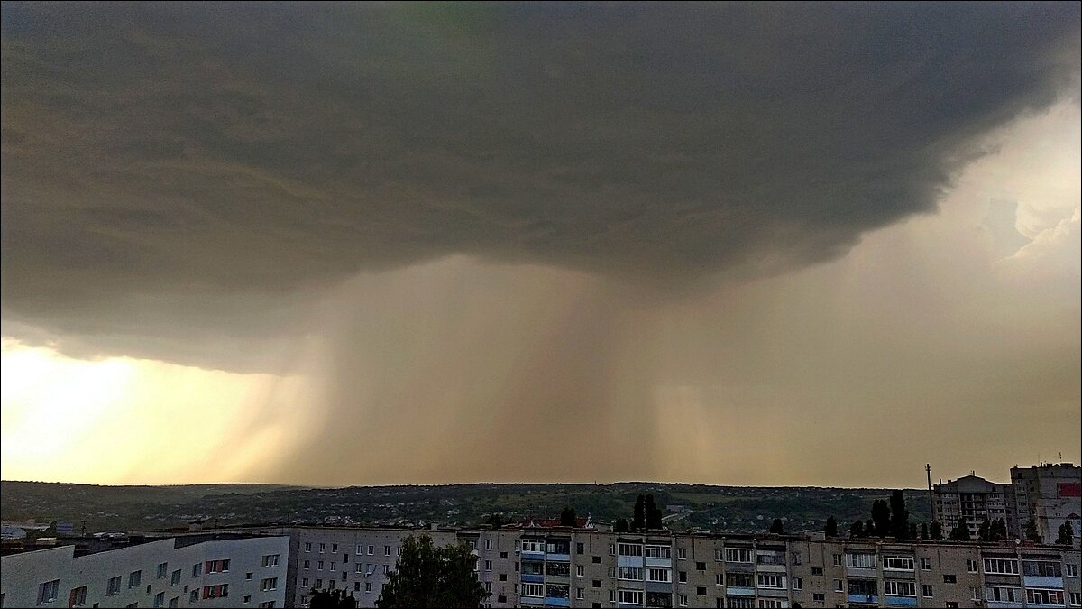 так вот он какой „ Грибной дождик " - Сеня Белгородский