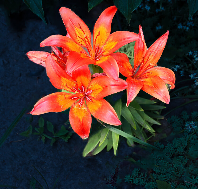 Славная троица - Евгений 