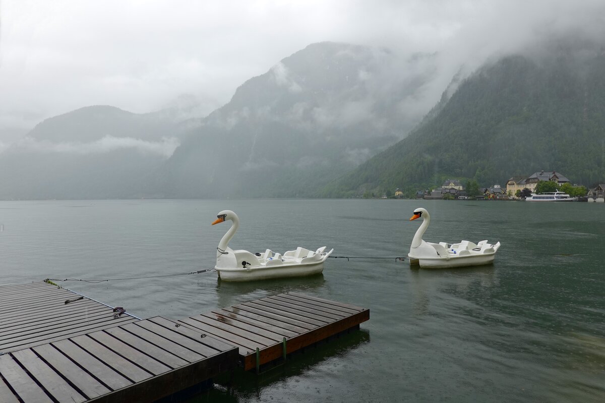 ... - Galina Dzubina ... - Galina Dzubina