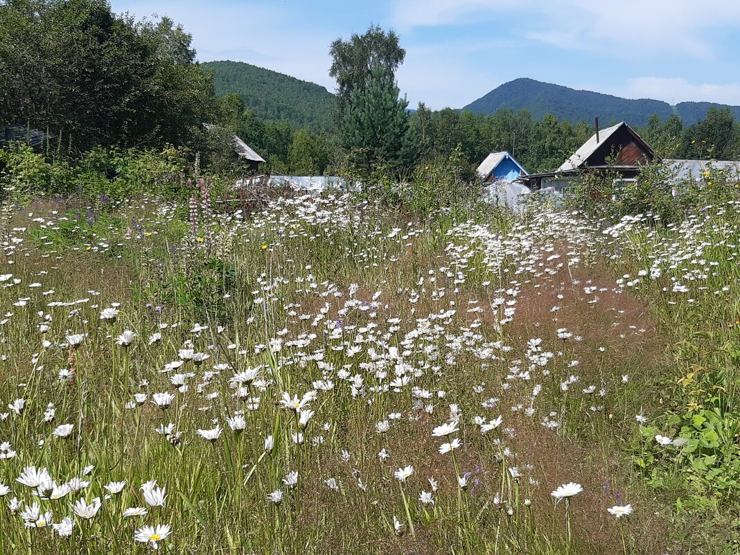 Наедине с природой - Галина Минчук