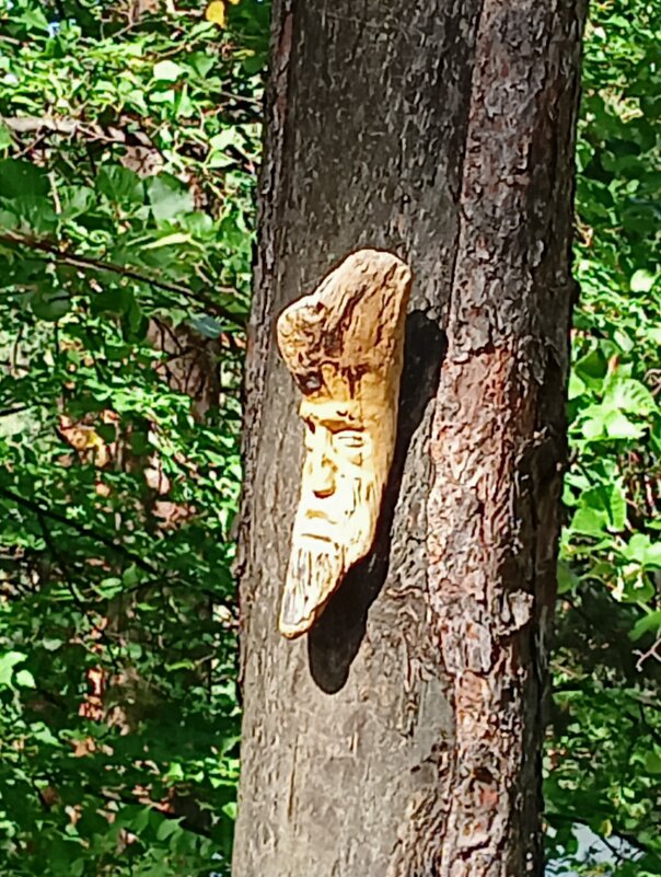 Резная голова - ольга хакимова