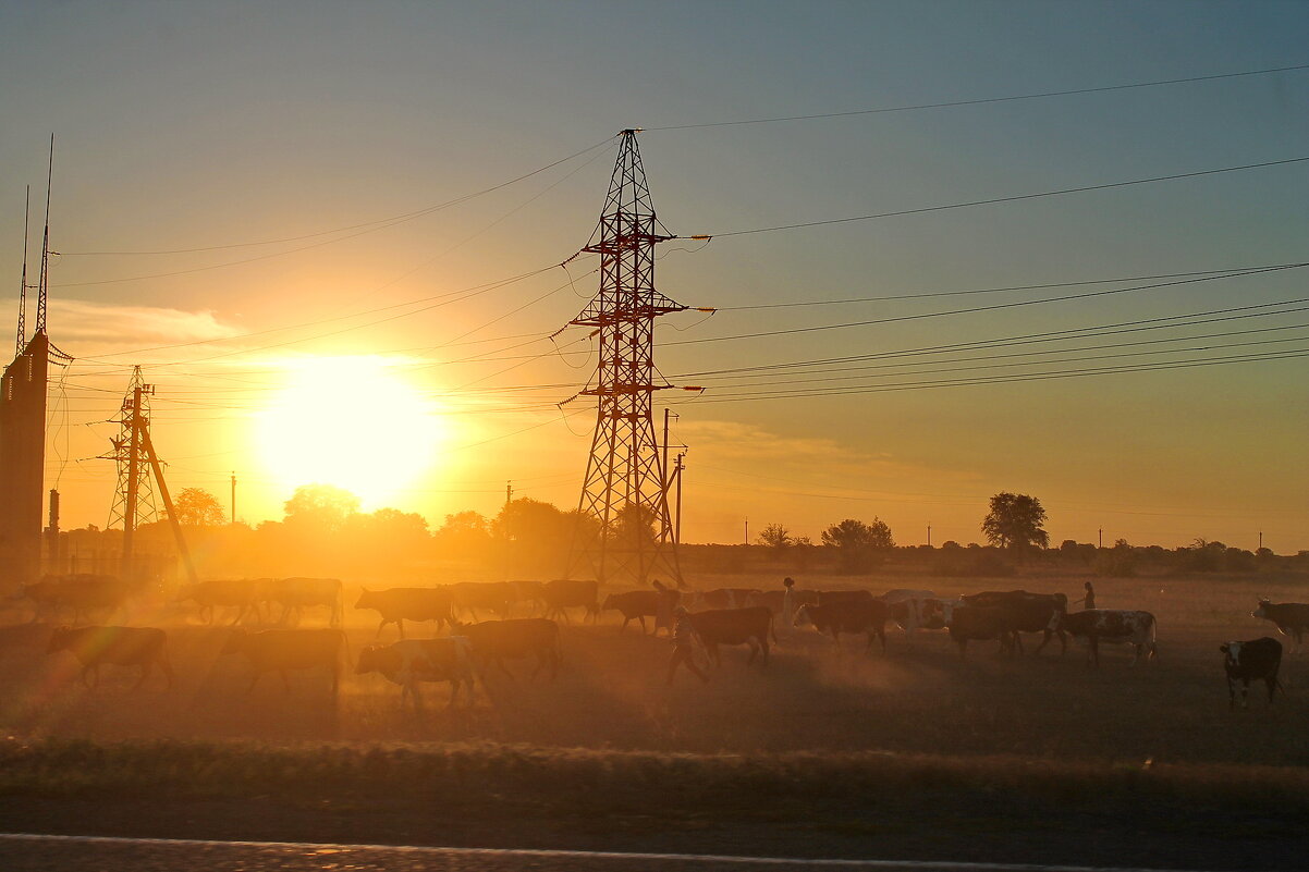 *** - Солнечный Странник