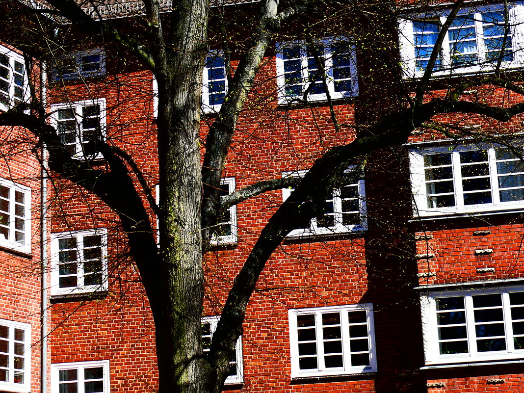 Люнебург 1 - Алексей Кузнецов