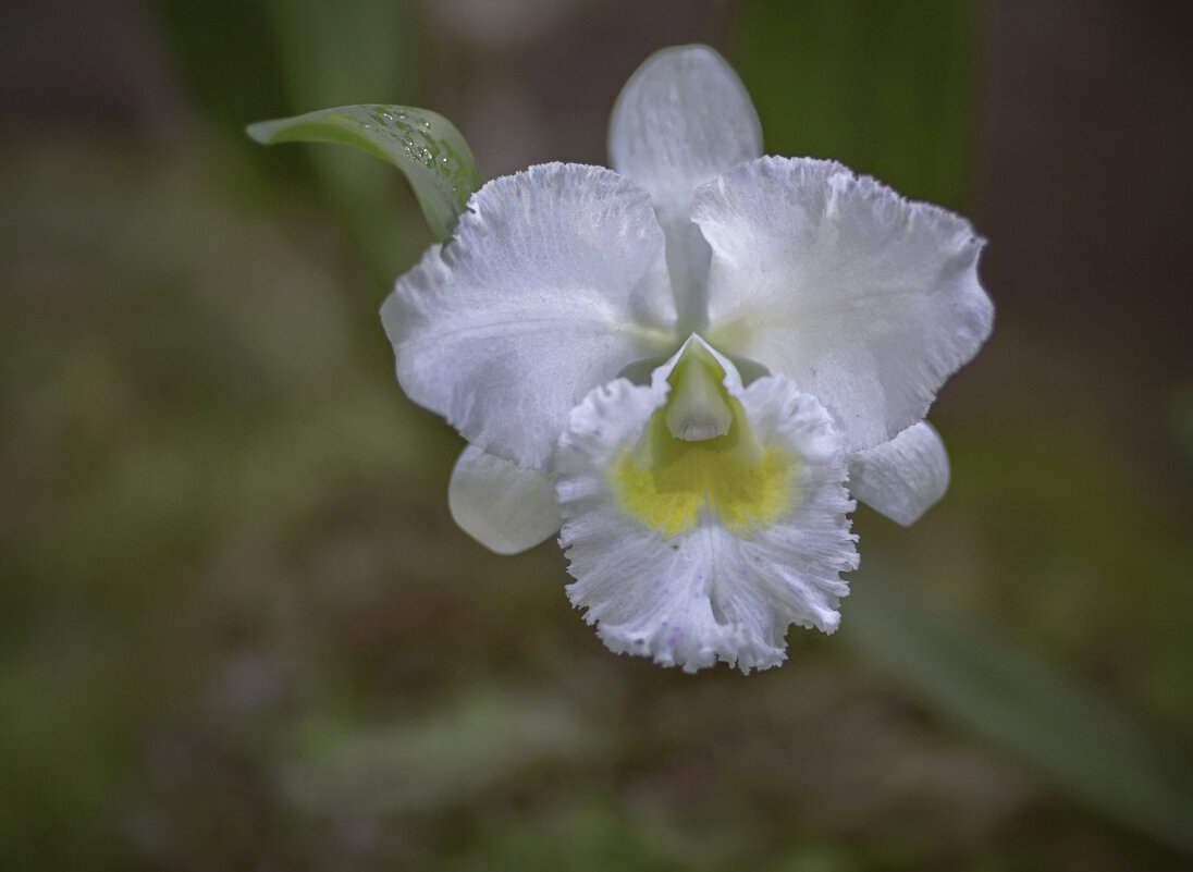 - - Сергей - - Сергей