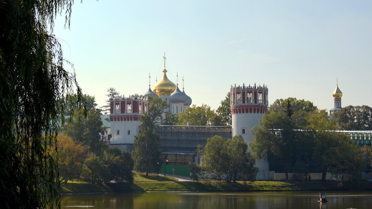 Ново-Девичий монастырь - Лютый Дровосек