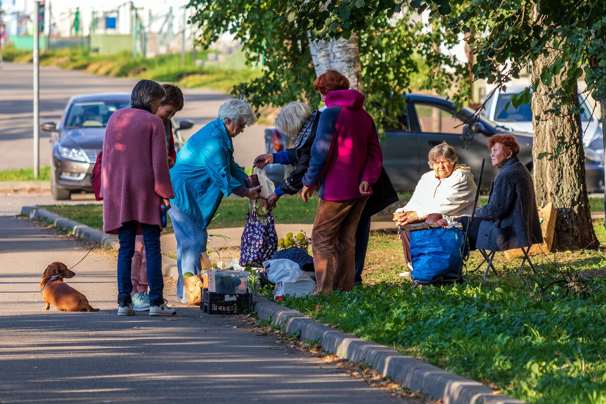 Мини рынок на тротуаре. - Анатолий. Chesnavik.