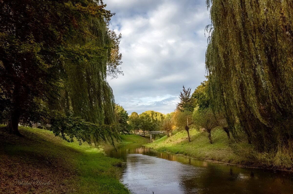 *** - Николай Гирш