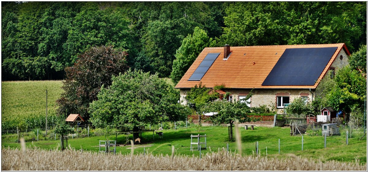 ФАЗЕНДА... - Elvira E. 