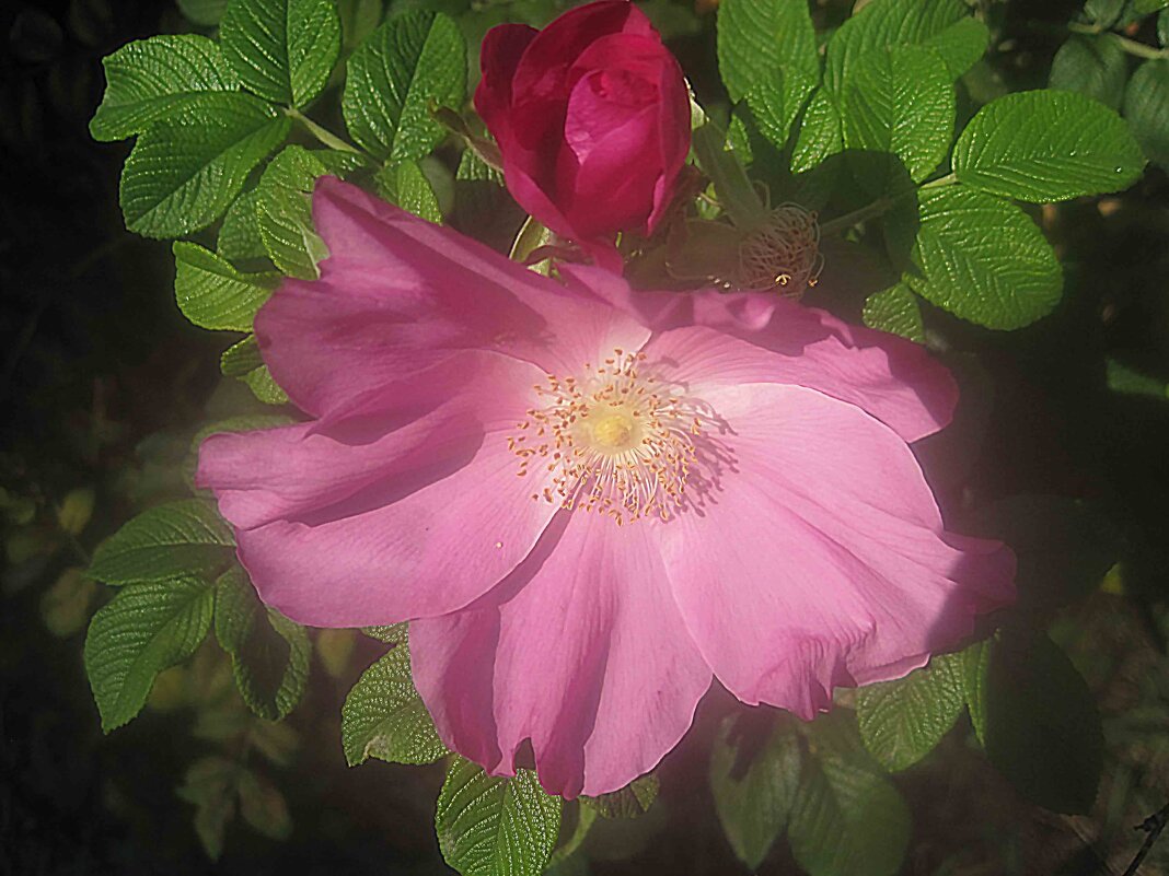 В конце сентября - Елена Семигина В конце сентября - Елена Семигина