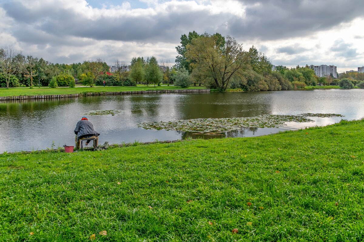 Осень на городском пруду - Валерий Иванович Осень на городском пруду - Валерий Иванович