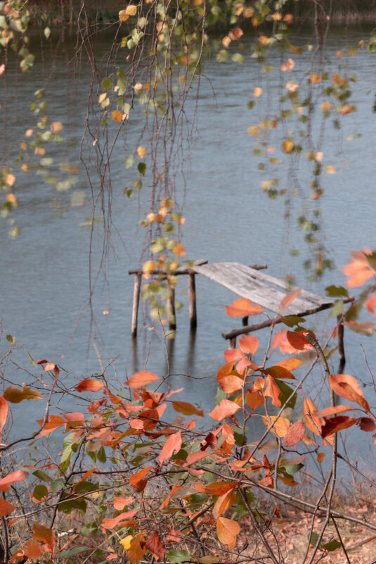 Осень. - Victor Nikonenko