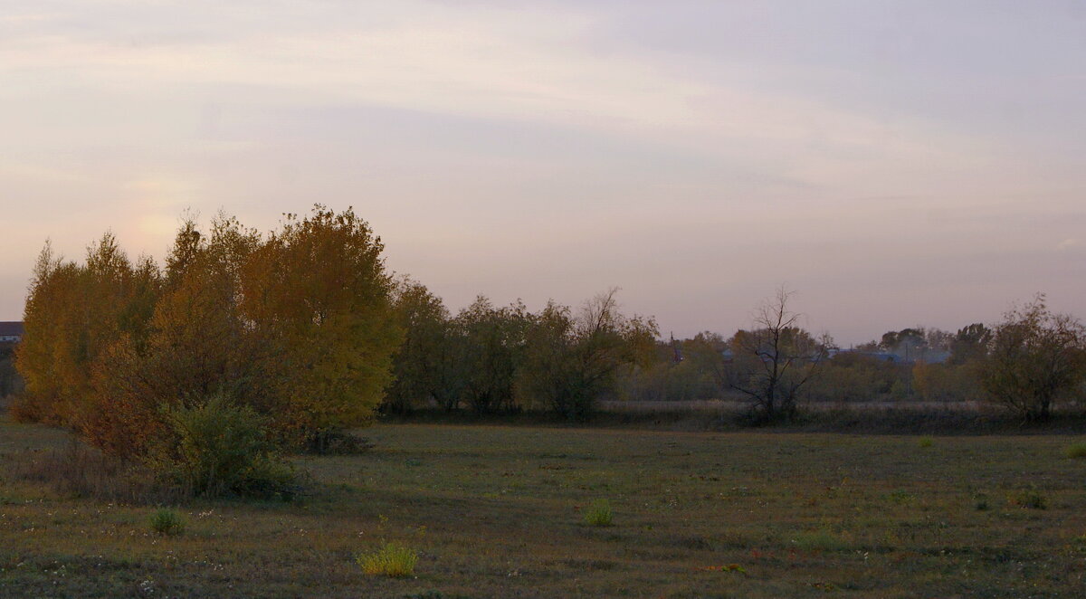 Вечер,осень. - сергей 