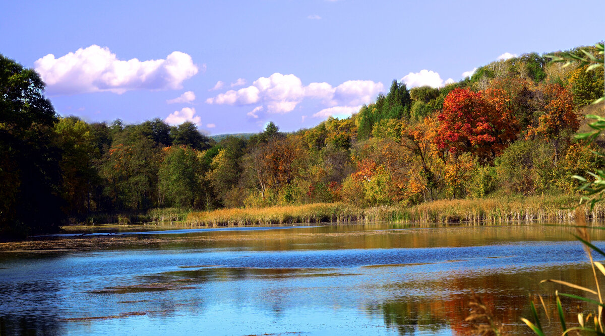 У озера. - Анатолий Уткин У озера. - Анатолий Уткин