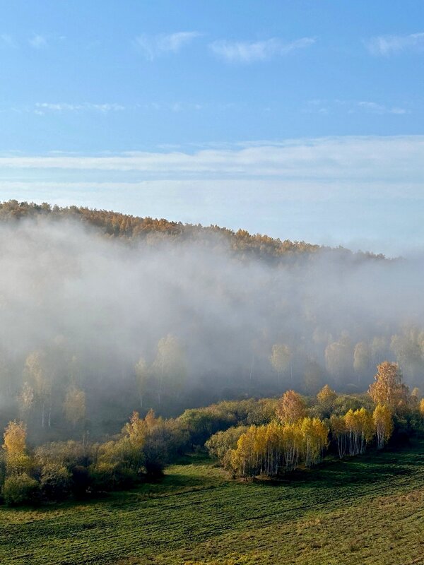 Утро.Туман - Лариса 