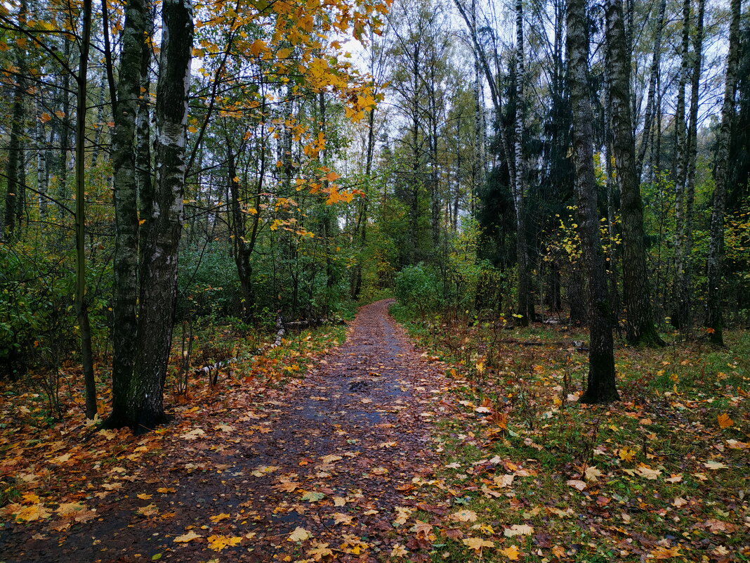 Октябрь как он есть - Андрей Лукьянов