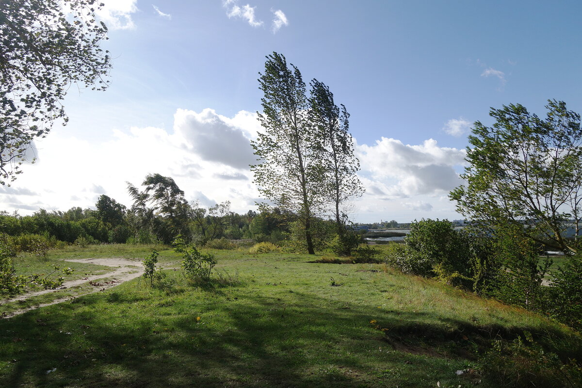 Октябрь.Побережье Калининградского залива - Маргарита Батырева Октябрь.Побережье Калининградского залива - Маргарита Батырева