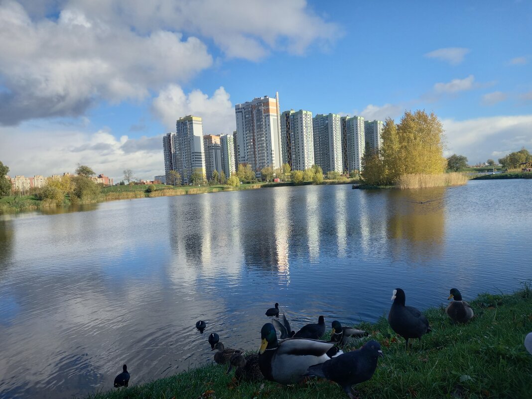 Осень - Сапсан 