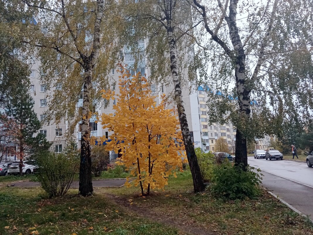 Осень в Мценске. - Владимир Драгунский