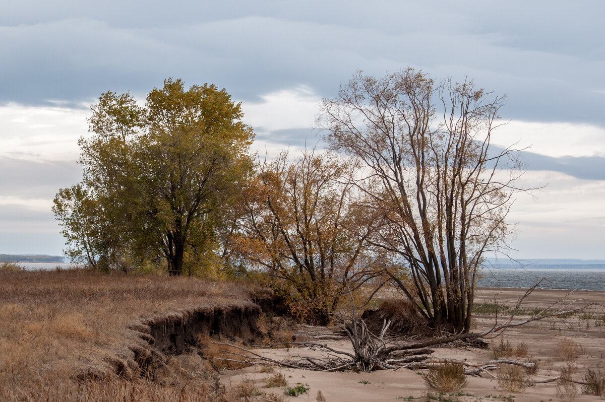... - Владимир Новиков