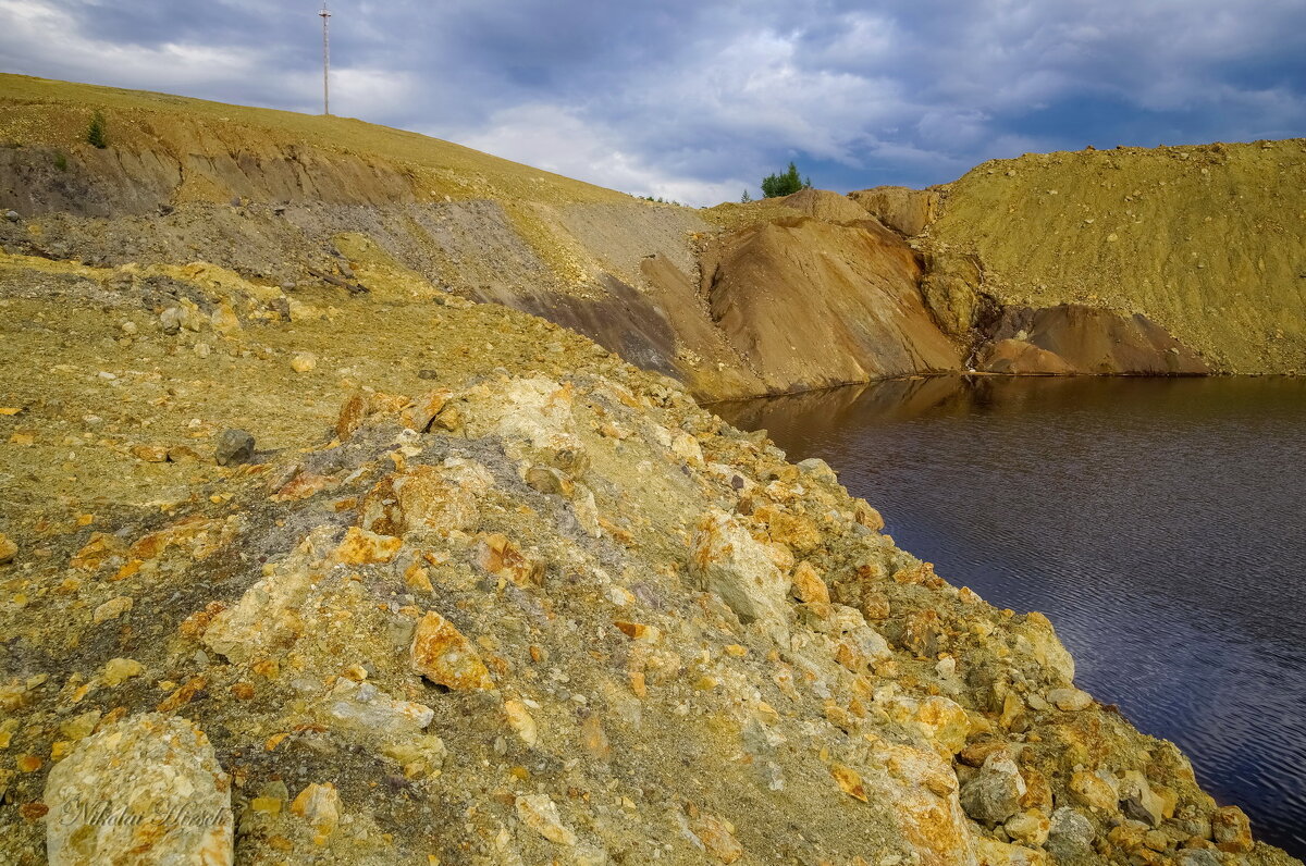 *** - Николай Гирш