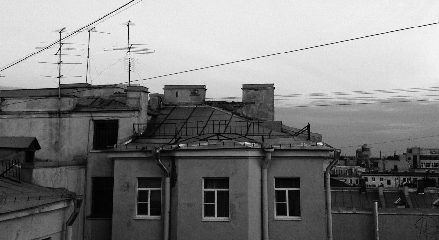 AnTREE - Алхазур Абубакаров