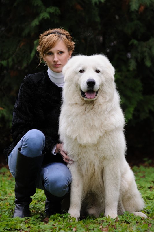Дама с Собачкой....... - Юрий Белов Дама с Собачкой....... - Юрий Белов