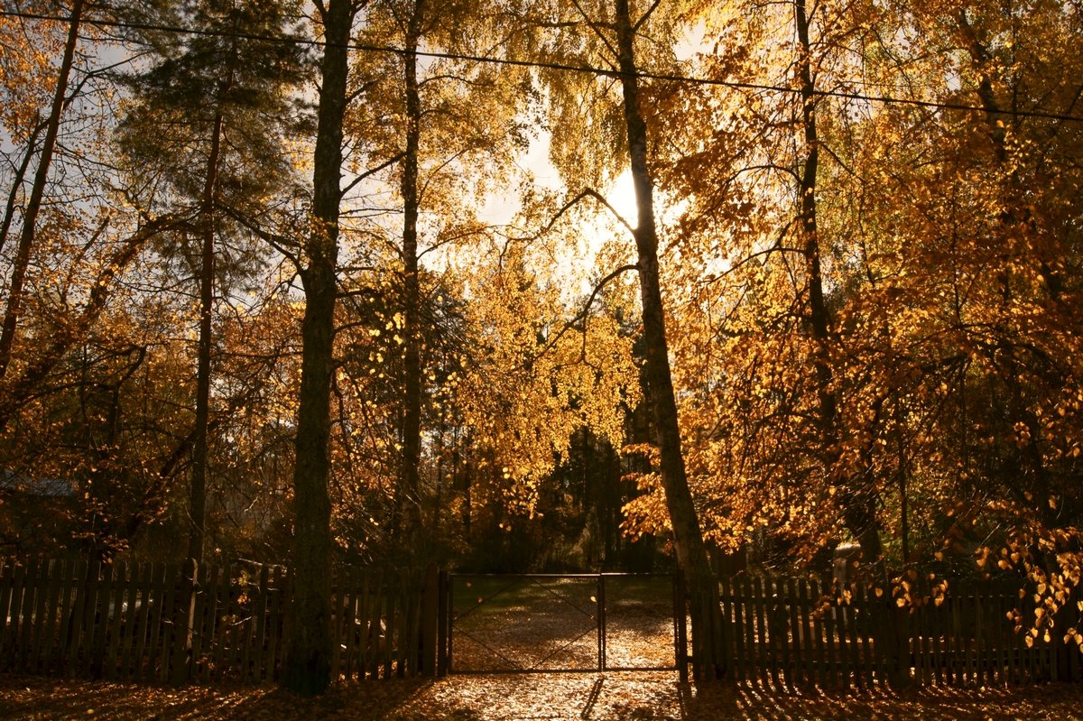 Вход в осень. - Lidija Abeltinja