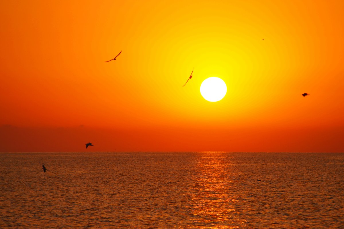 Утро начинается... - Снежана Орно-Орлова Утро начинается... - Снежана Орно-Орлова