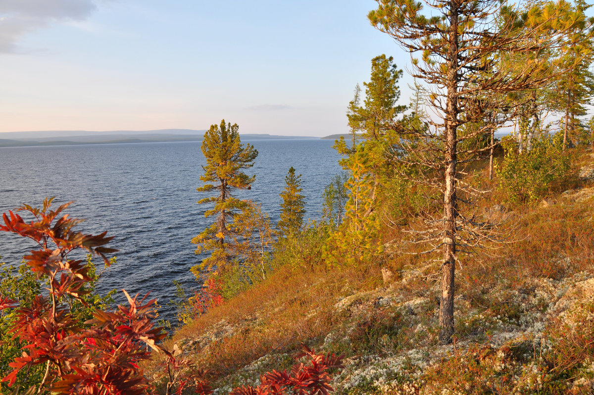 *** - Александр Хаецкий