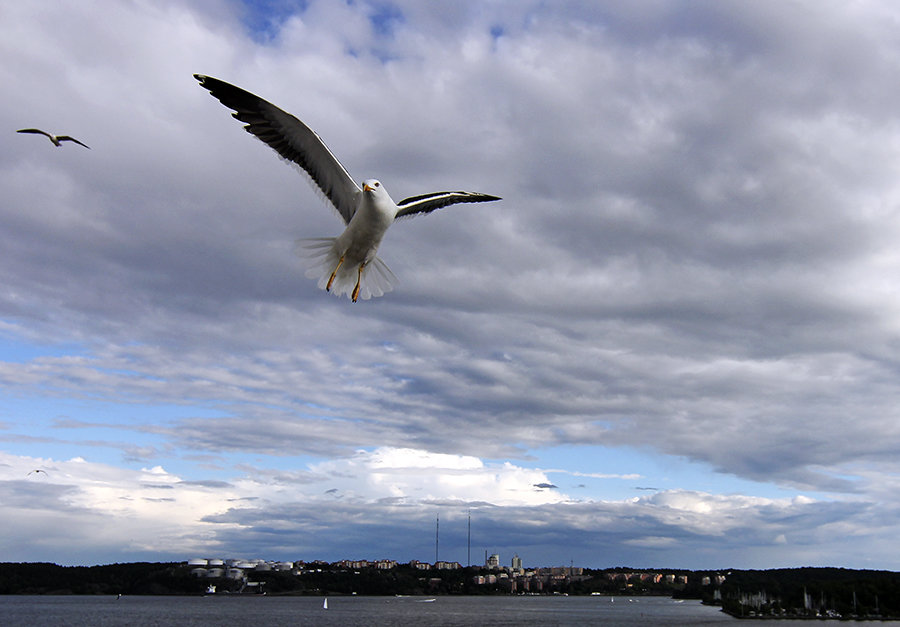 * - Евгений Барзенков * - Евгений Барзенков