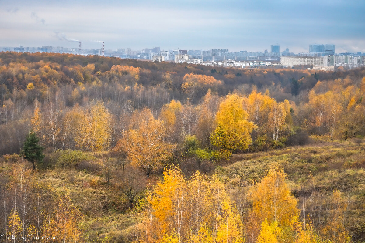 Московская осень... - Владимир Жданов