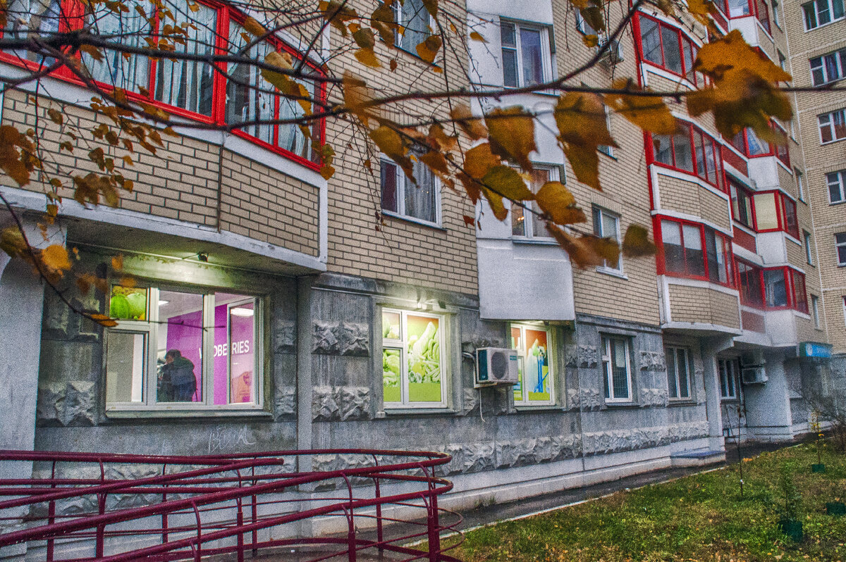 День 6 ноября 2023 - Юрий Яньков День 6 ноября 2023 - Юрий Яньков