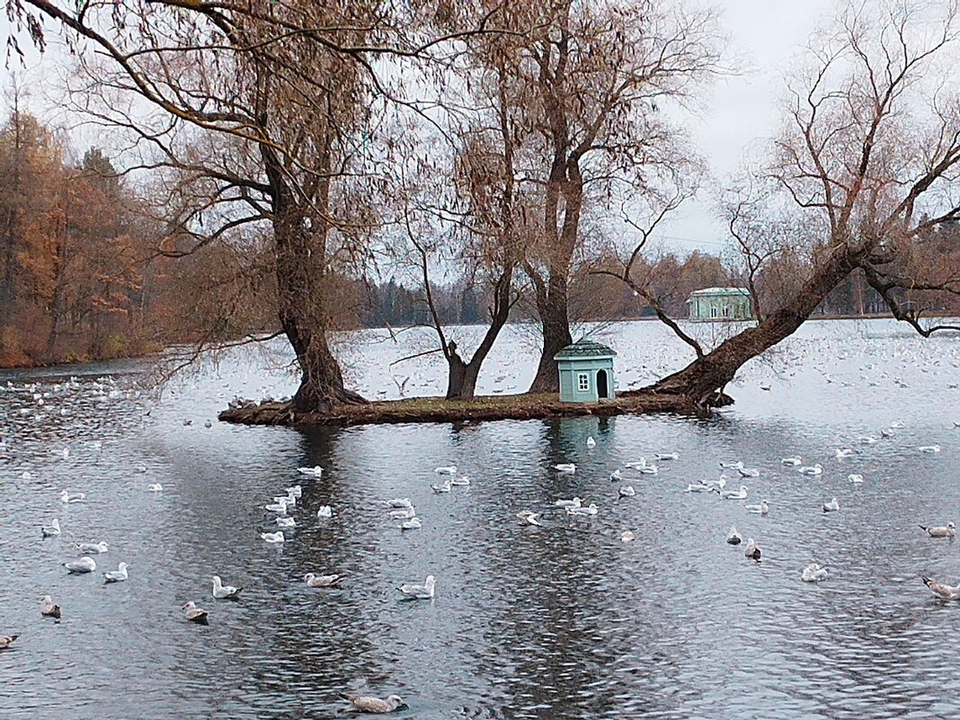 Осень в гатчинском парке.. - Tatiana Markova