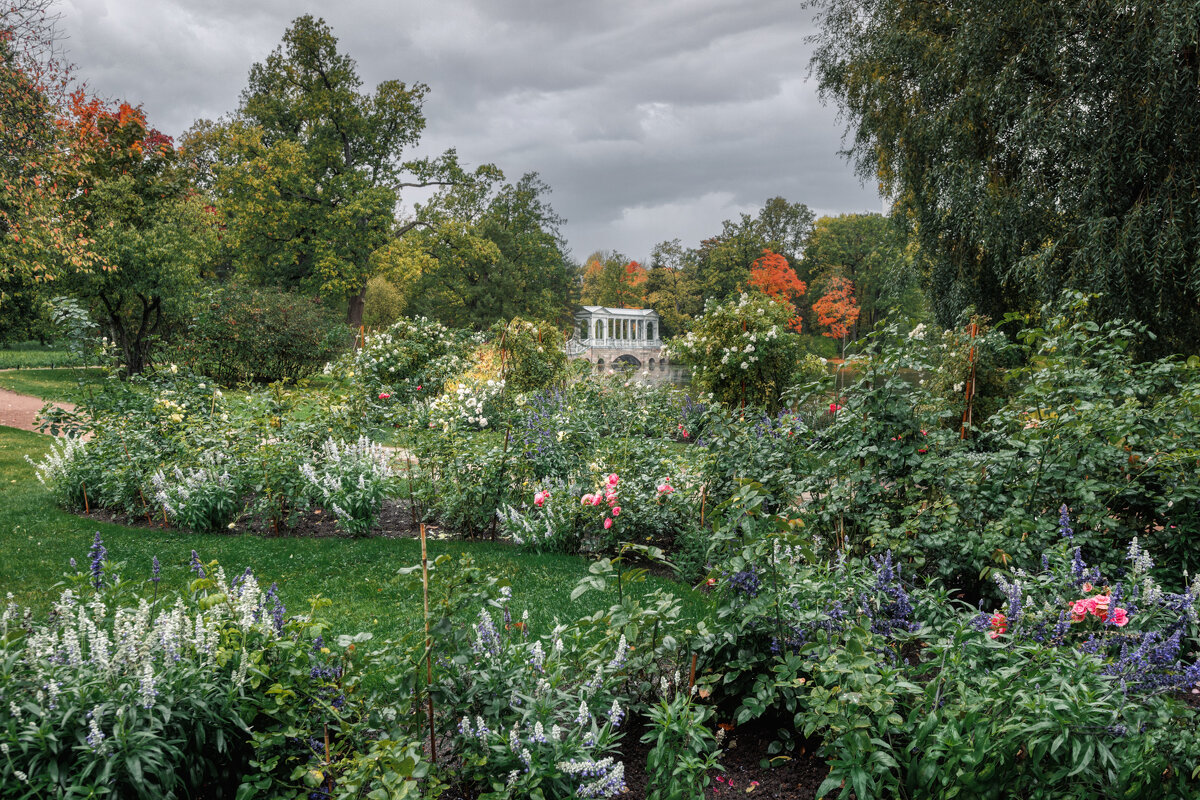 Про Питер. - Владимир Колесников