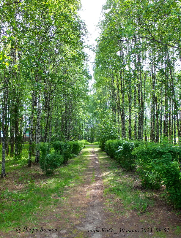 прогулка в парке - Игорь В