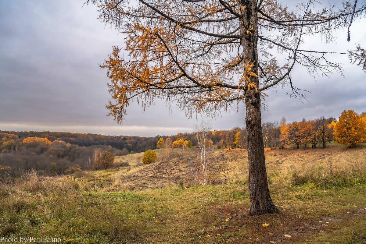 Октябрь в Царицыно... - Владимир Жданов Октябрь в Царицыно... - Владимир Жданов