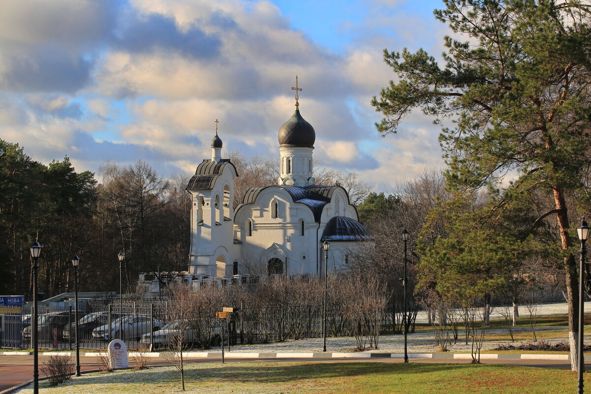 Переделкино - Ninell Nikitina