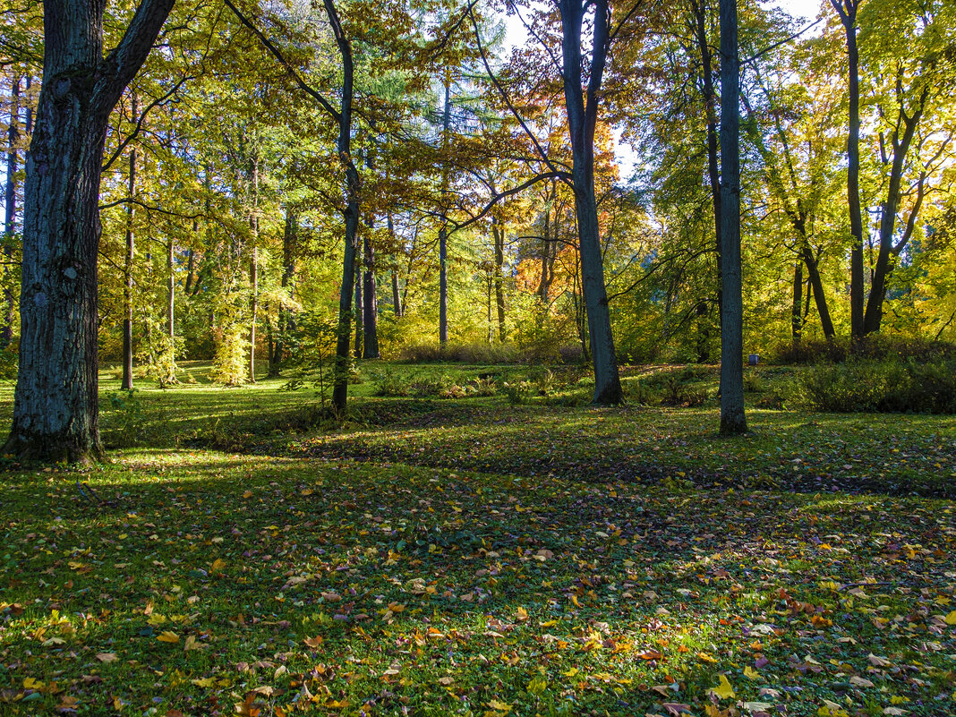 ЦПКиО (3) - Александр ЦПКиО (3) - Александр