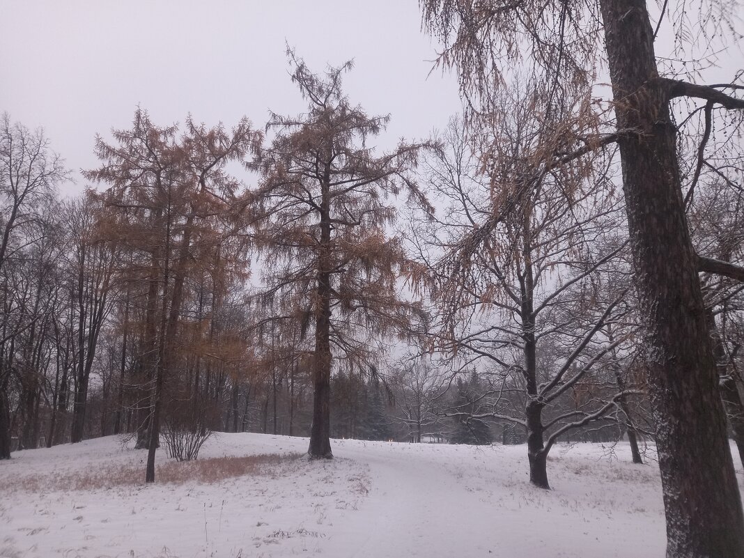 Осень - Сапсан Осень - Сапсан