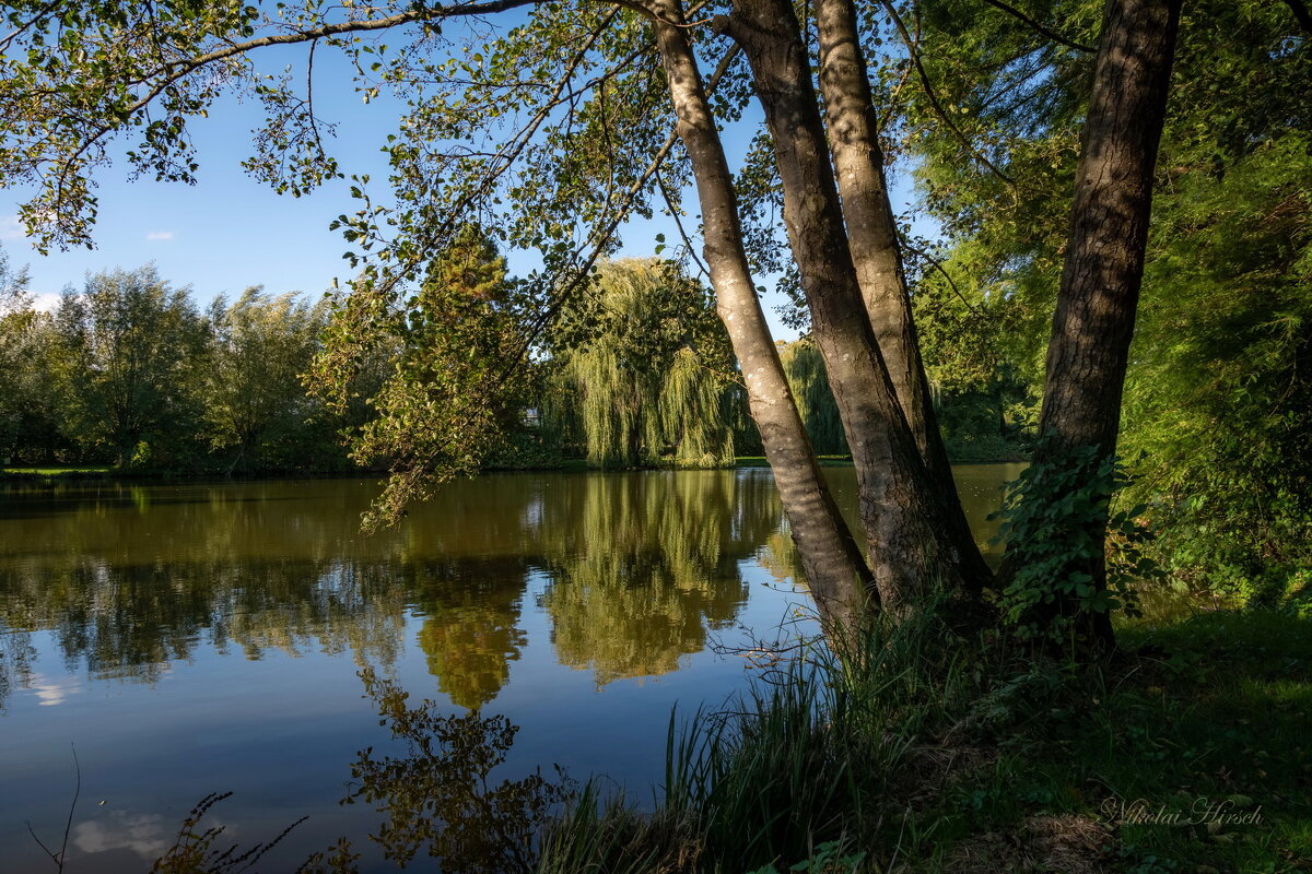 *** - Николай Гирш