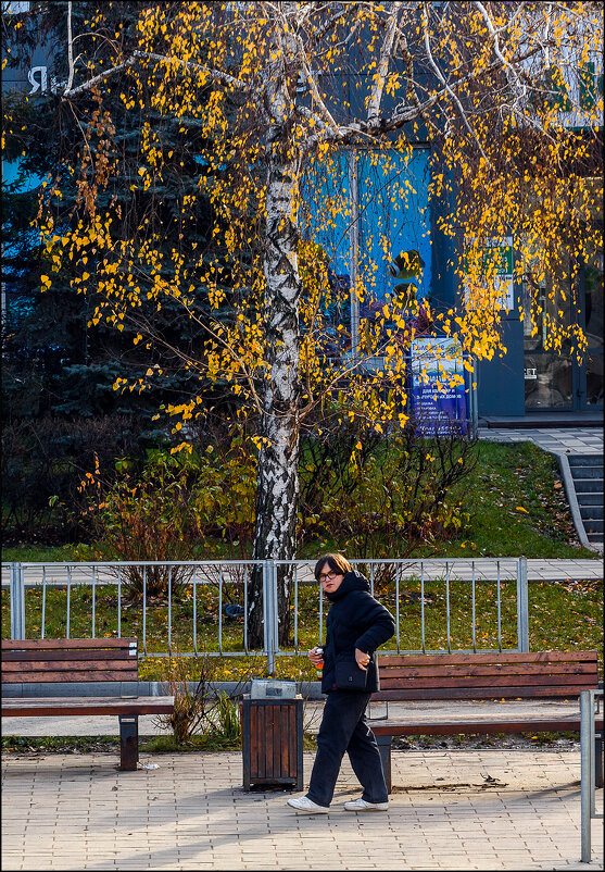 Взгляд - Александр Тарноградский