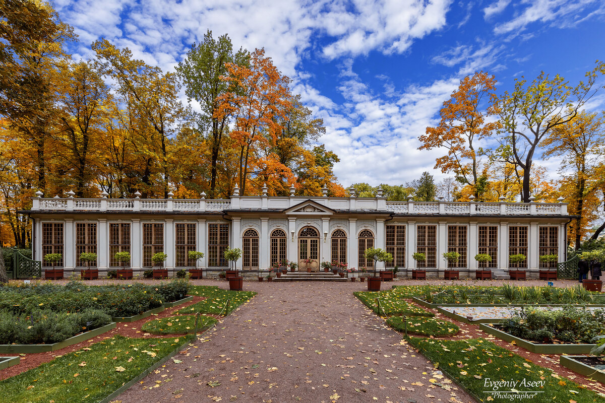 Осень в Летнем саду - Евгений 