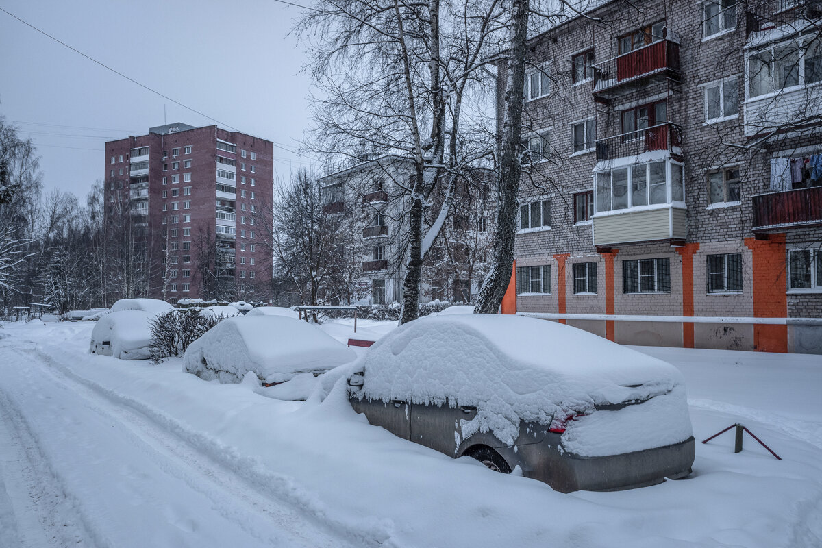 В зимней спячке. - Михаил "Skipper" В зимней спячке. - Михаил "Skipper"