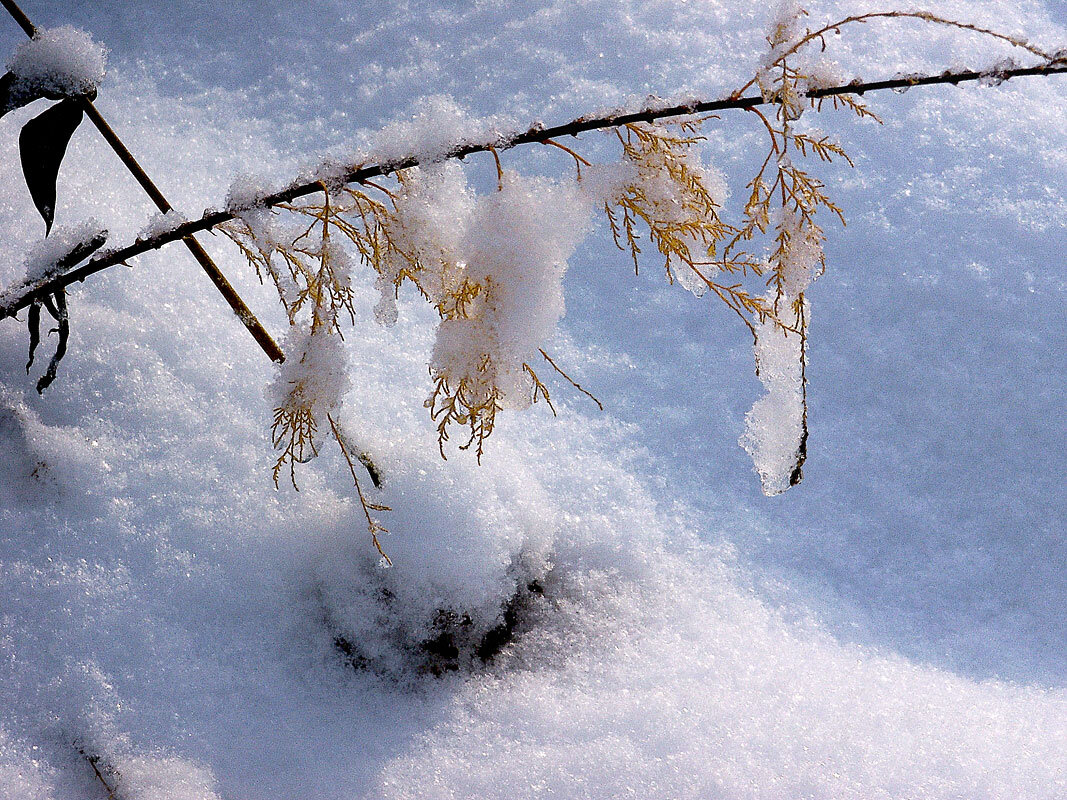 Выпал снег - MILAV V Выпал снег - MILAV V