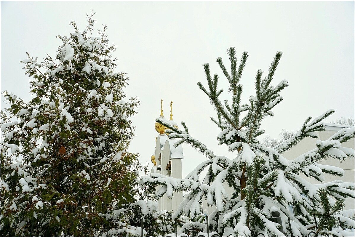 Был снег ... - Сеня Белгородский