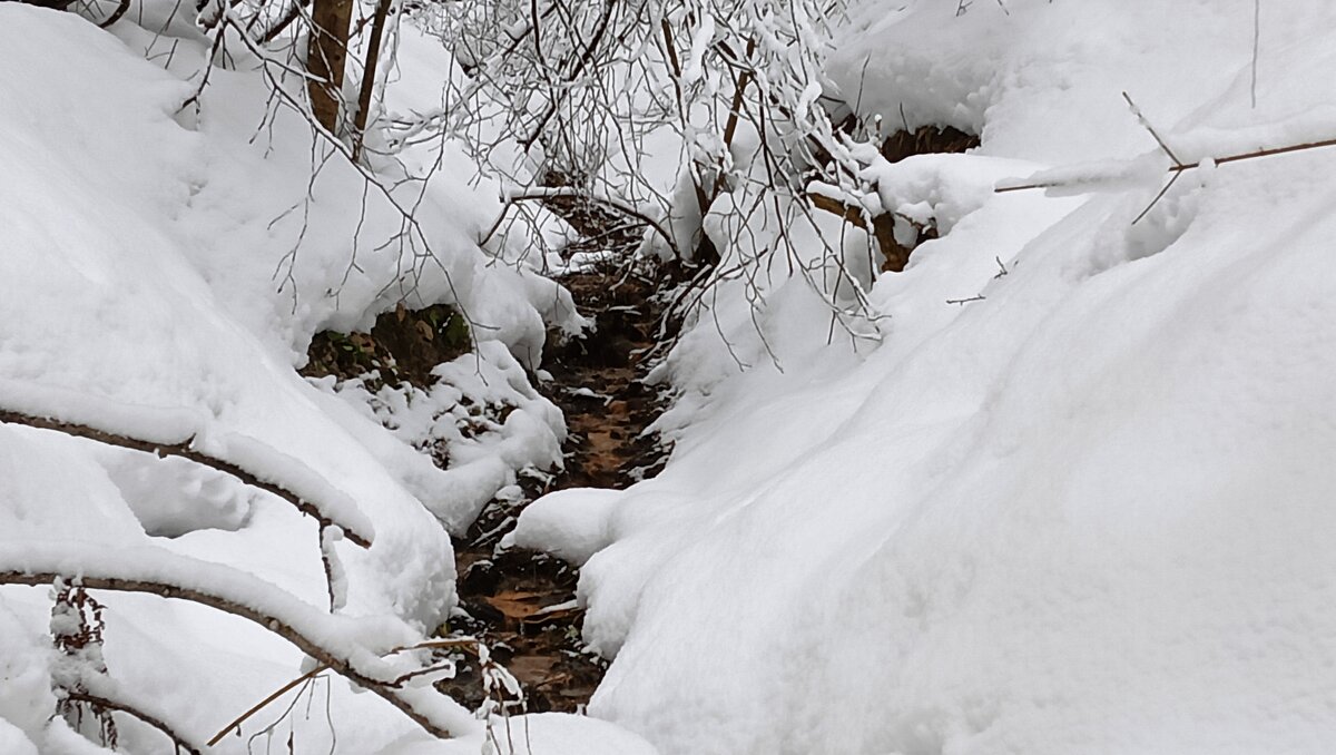 ручеек журчит - Владимир 