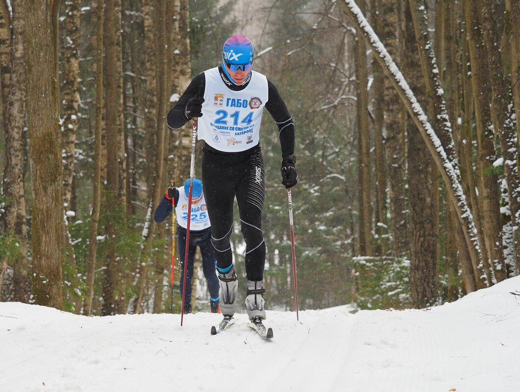 Зима время лыж - Евгений Седов