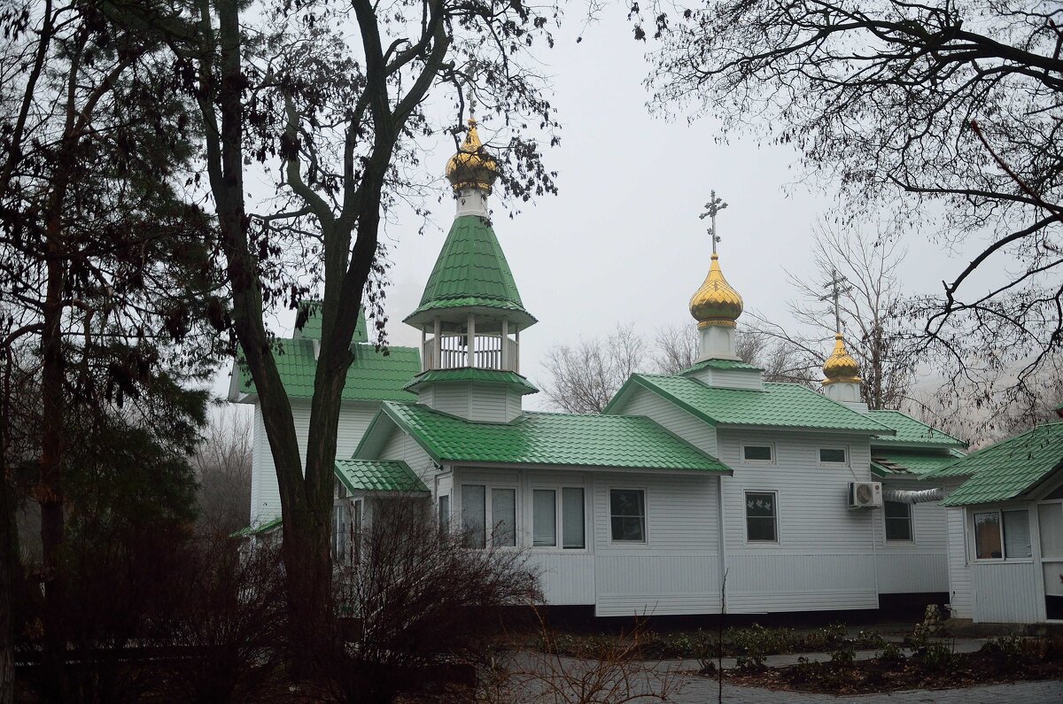 Купола среди деревьев в парке - Александр Стариков