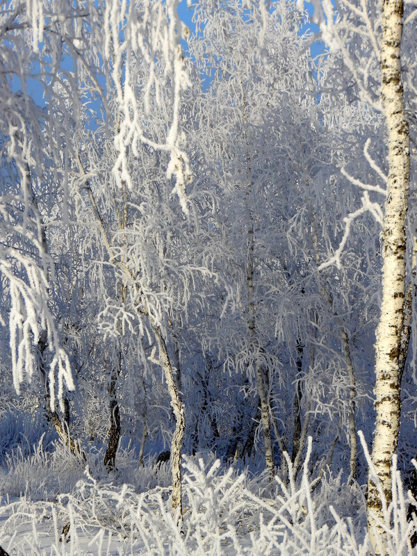 Царство Берендея. - nadyasilyuk Вознюк Царство Берендея. - nadyasilyuk Вознюк