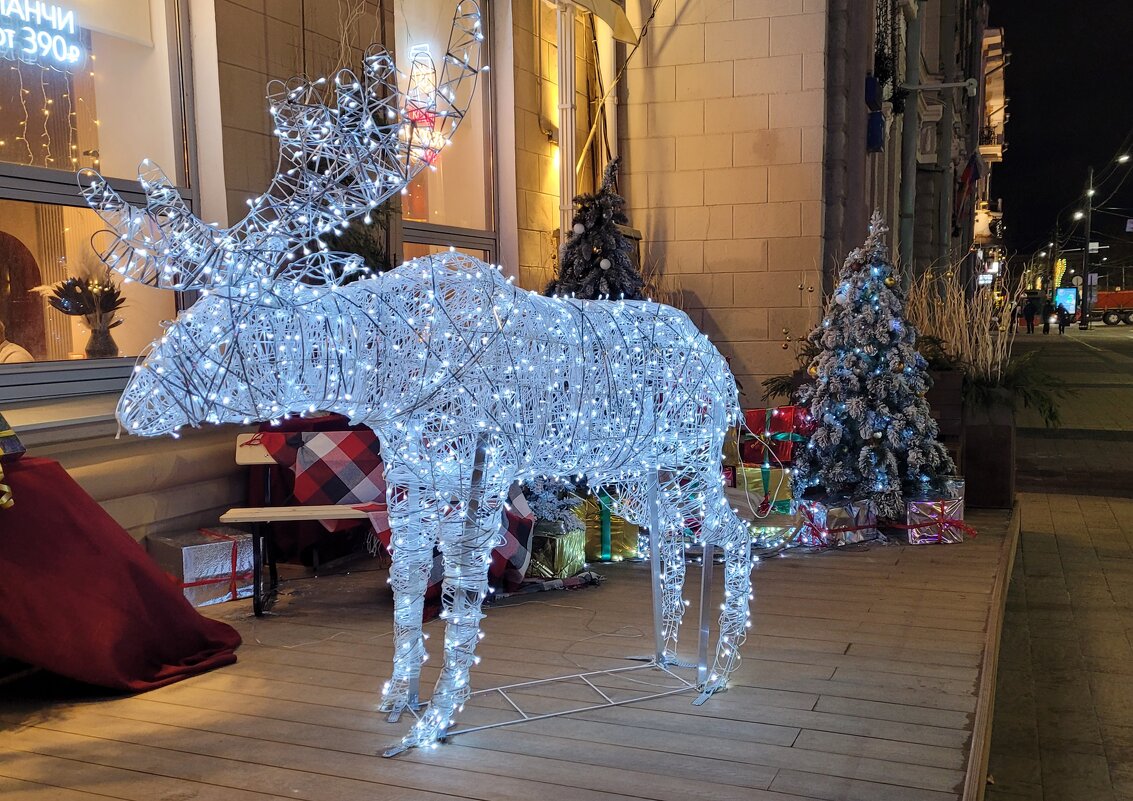 Северный олень на юге Центральной России - Татьяна Машошина